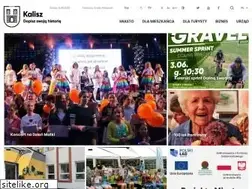 Sites similar to kalisz.pl