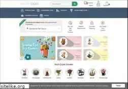 Sites similar to kalitecicek.com