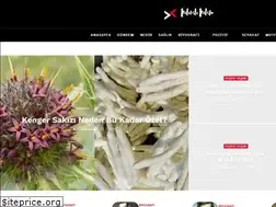 Sites similar to kalitelikalem.com