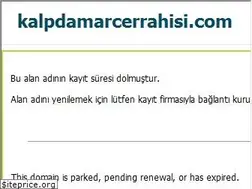 Sites similar to kalpdamarcerrahisi.com