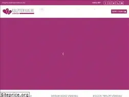 Sites similar to kalptenkalbevideolar.com