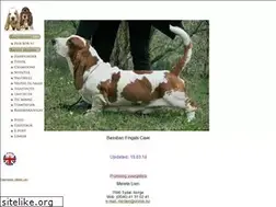 Sites similar to kalvskinnet.com