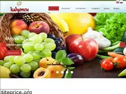 Sites similar to kalyoncunakliyat.com