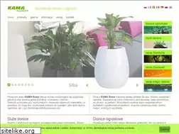 Sites similar to kamaflower.com
