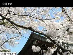 Sites similar to kamakuraguu.jp