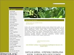 Sites similar to kamancevizi.gen.tr