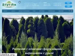 Sites similar to kamazmaster.ru