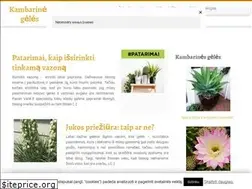 Sites similar to kambarinesgeles.lt