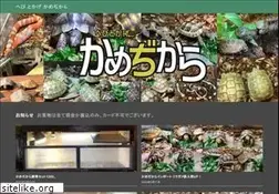 Sites similar to kamechikara.com