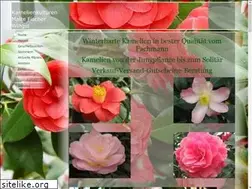 Sites similar to kamelie.de