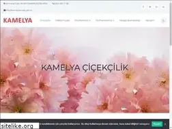Sites similar to kamelyacicek.com.tr