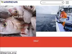 Sites similar to kameya-fishing.com