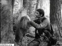 Sites similar to kamiennekrzyze.pl