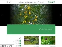 Sites similar to kamilherbal.com