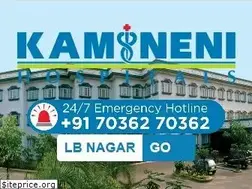 Sites similar to kaminenihospitals.com