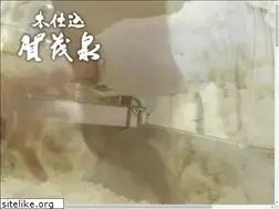 Sites similar to kamoizumi.co.jp