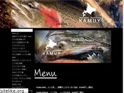 Sites similar to kamuy-web.com