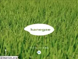 Sites similar to kanegae.net