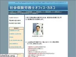 Sites similar to kaneko-kenichi.com