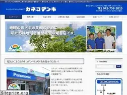 Sites similar to kanekodenki.com