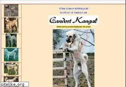 Sites similar to kangal.gen.tr