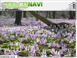 Sites similar to kani-kankou.jp