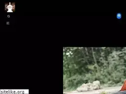 Sites similar to kapelabaciarka.pl