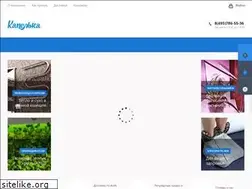 Sites similar to kapelka.com