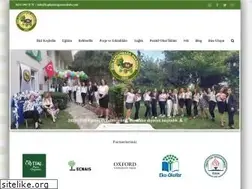 Sites similar to kaplumbagaanaokulu.com