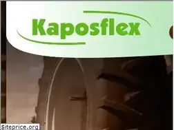 Sites similar to kaposflex.hu