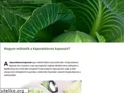Sites similar to kaposztaleves.net