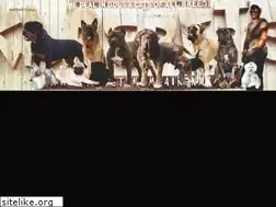 Sites similar to kapspetsaaa.com