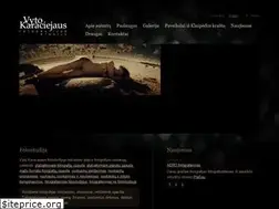 Sites similar to karaciejus.lt