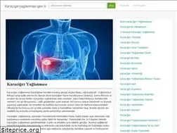 Sites similar to karacigeryaglanmasi.gen.tr