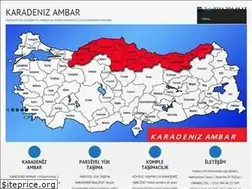 Sites similar to karadenizambar.com