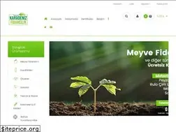 Sites similar to karadenizfidancilik.com