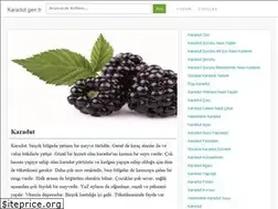 Sites similar to karadut.gen.tr