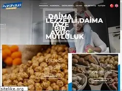Sites similar to karakayakuruyemis.com