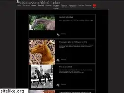 Sites similar to karakumstud.com