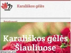 Sites similar to karaliskos.lt