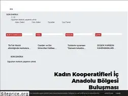 Sites similar to karamanmagazin.com