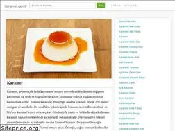 Sites similar to karamel.gen.tr