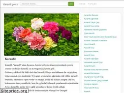 Sites similar to karanfil.gen.tr