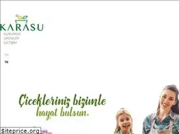 Sites similar to karasuplastik.com