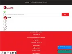 Sites similar to karatasambalaj.com