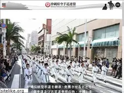Sites similar to karatedorenmei.okinawa