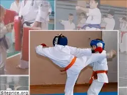 Sites similar to karatedubna.ru