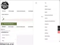 Sites similar to karavanustasi.net