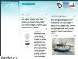 Sites similar to karbonayakizi.com