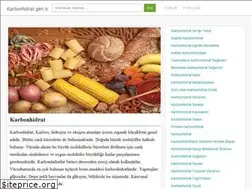 Sites similar to karbonhidrat.gen.tr